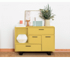 EGGSHELL PAINT EP-04 YELLOW OCHRE